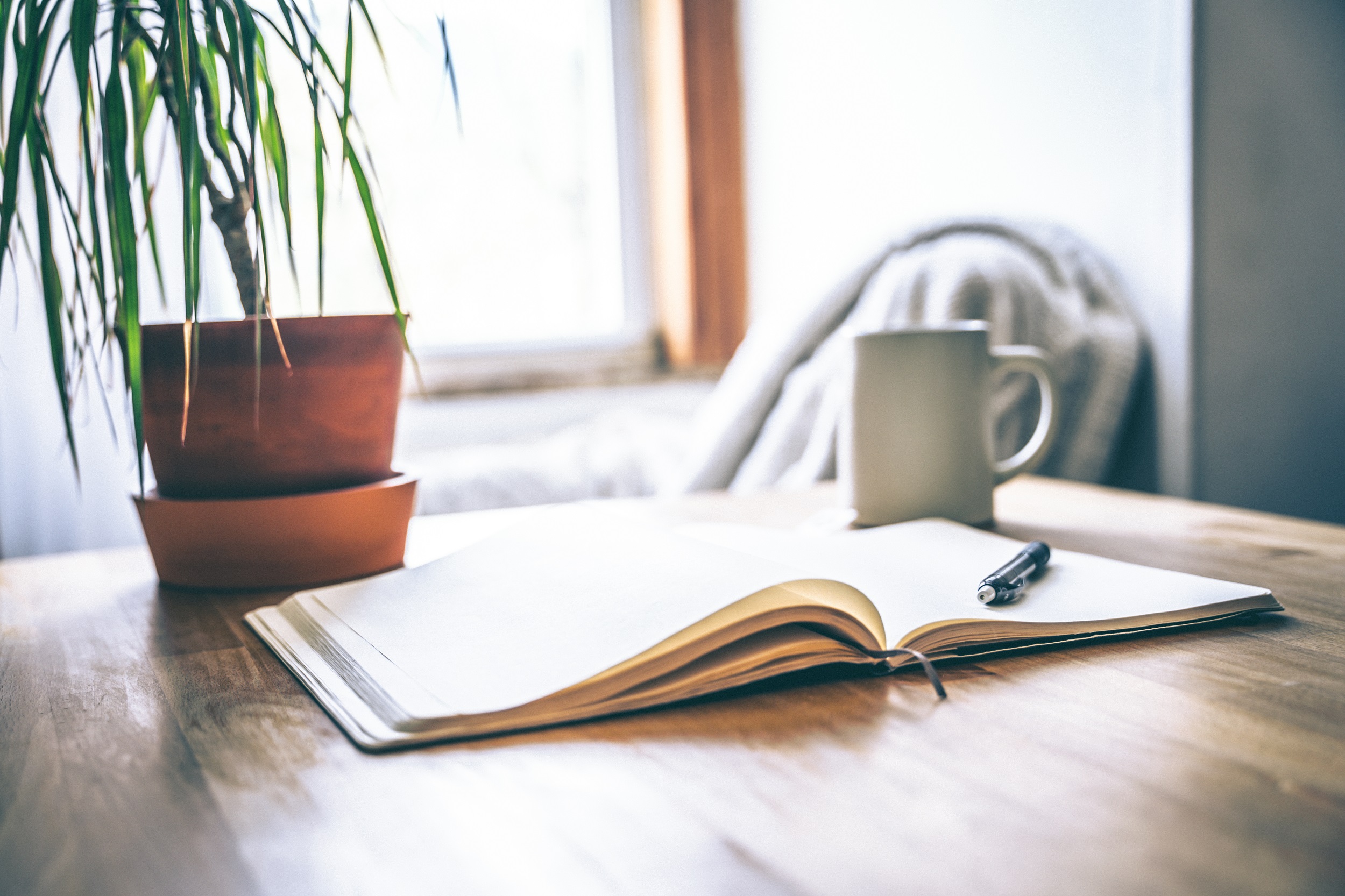 Open notebook on table with pen, mug and plant