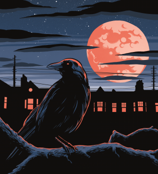 Writing LOW: an Interview with Poet Chrissy Williams