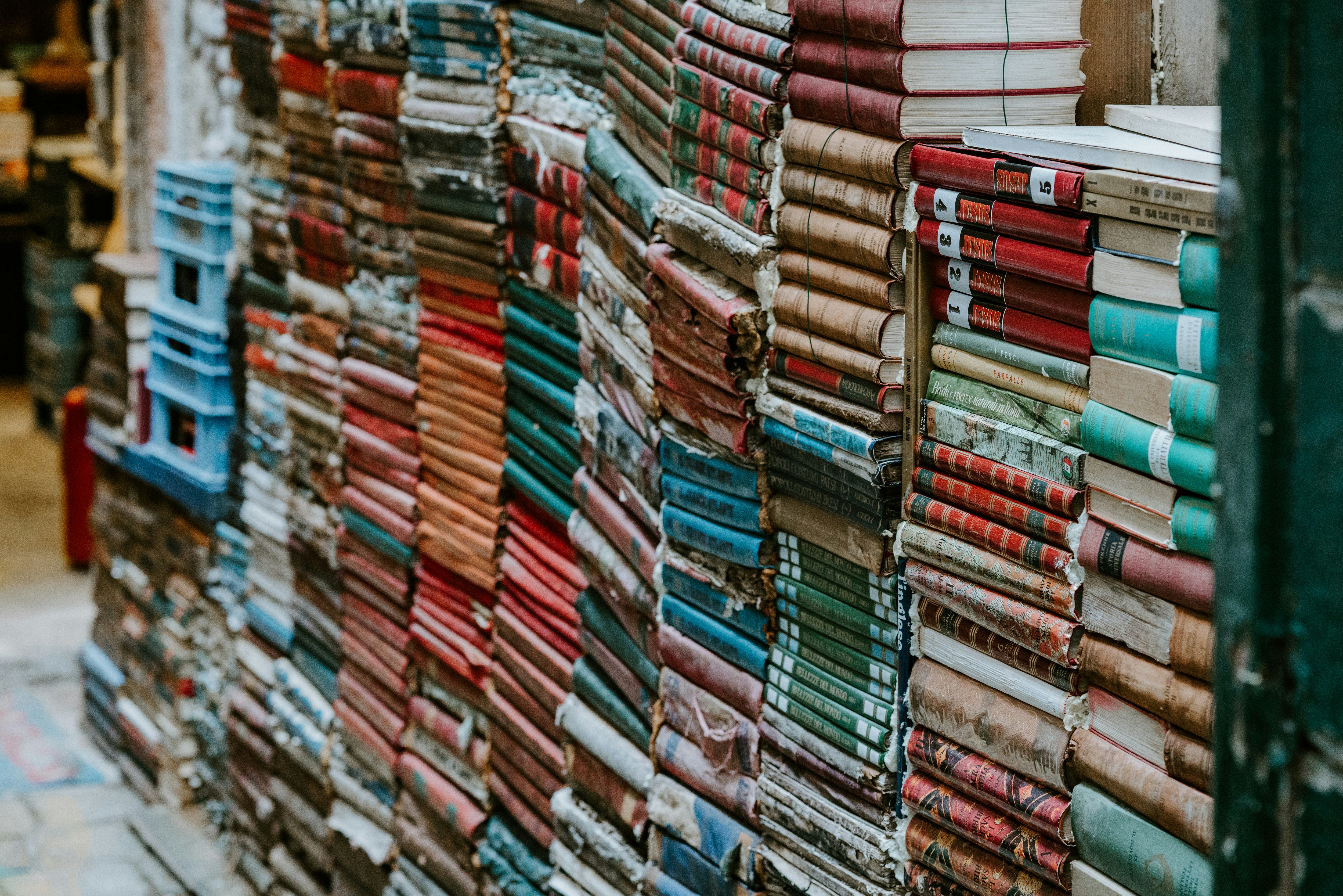 annie-spratt-SItvpq4PWNY-unsplash